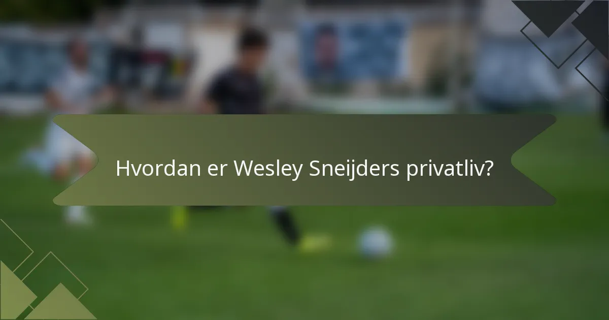 Hvordan er Wesley Sneijders privatliv?