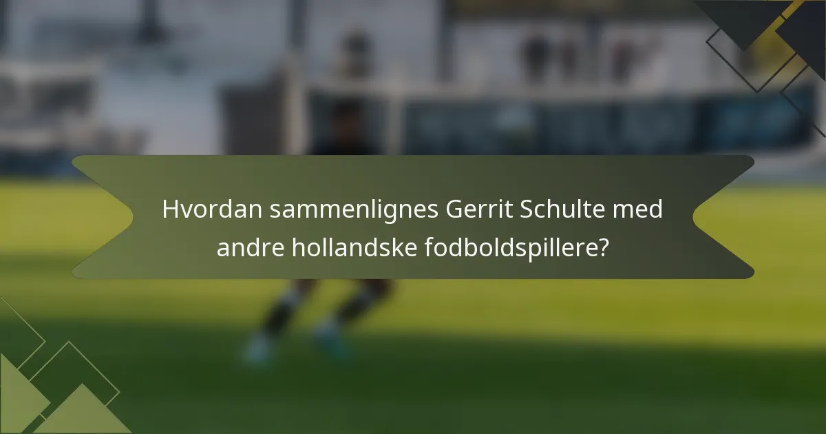 Hvordan sammenlignes Gerrit Schulte med andre hollandske fodboldspillere?